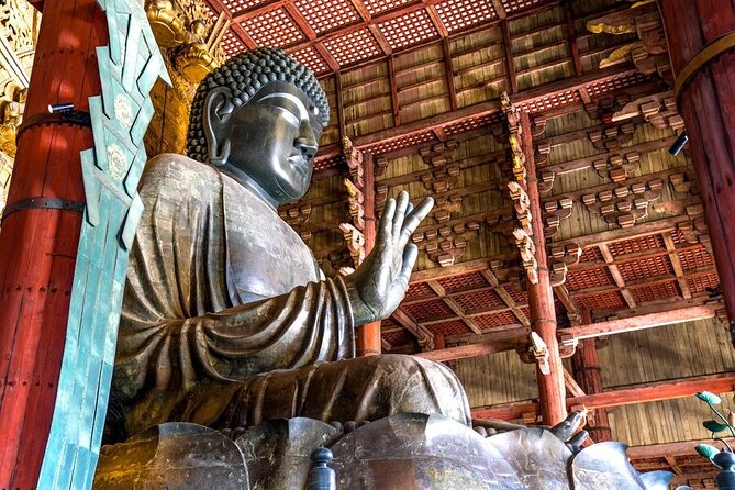 Explore the Best Spots of Arashiyama / Nara in a One Day Private Tour From Kyoto - Cancellation Policy