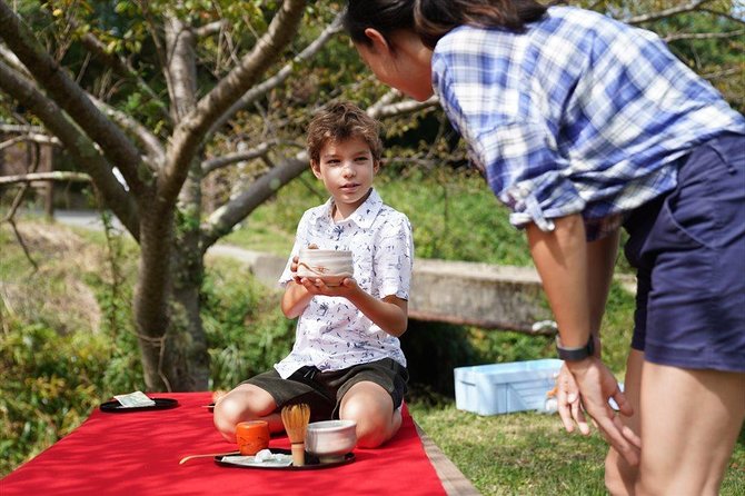 Family Picnic in a Tea Field - Inclusions