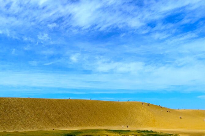 From Osaka: Tottori Sand Dunes Day Tour With English Guide - Guide Information