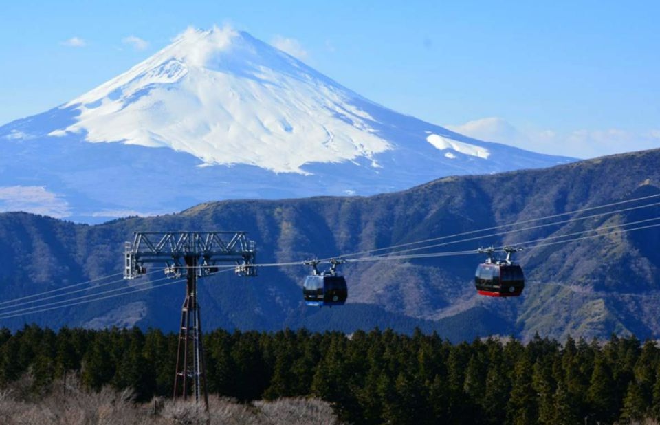 From Tokyo: 10-hour Hakone Private Custom Tour - Activity Description