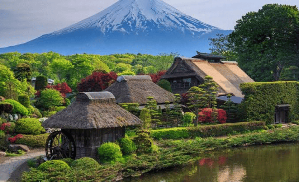 From Tokyo: Mount Fuji Full Day Private Tours English Driver - Restrictions