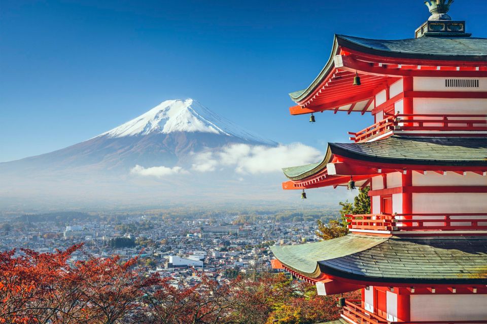 From Tokyo: Mt Fuji and Hakone Customizable Private Day Trip - Itinerary Options