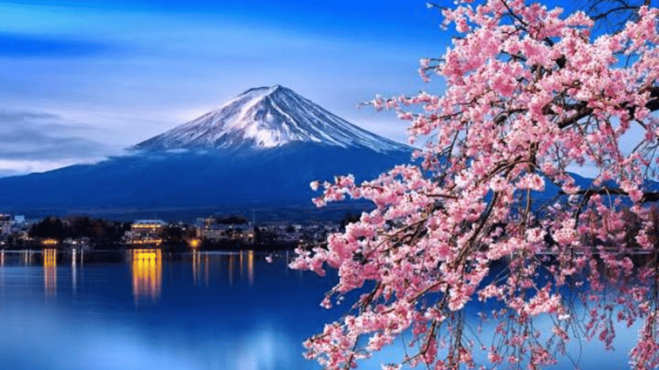 From Tokyo: Private Mount Fuji and Hakone Day Trip - Common questions