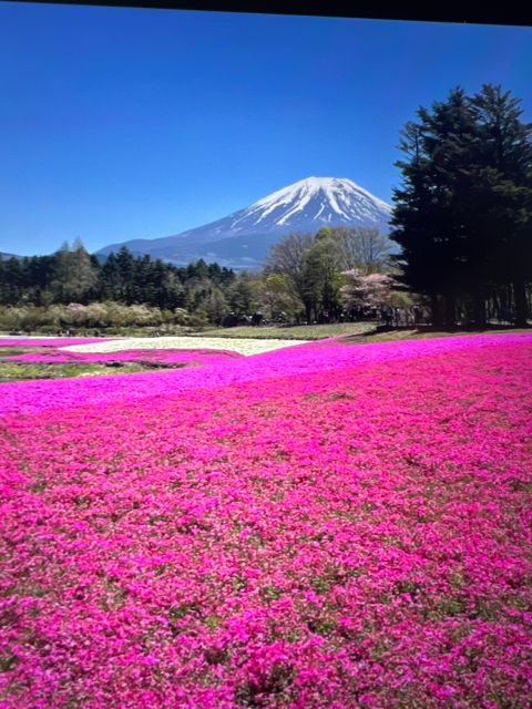 From Tokyo/Yokohama: Mount Fuji Private Tour With Pickup - Activities