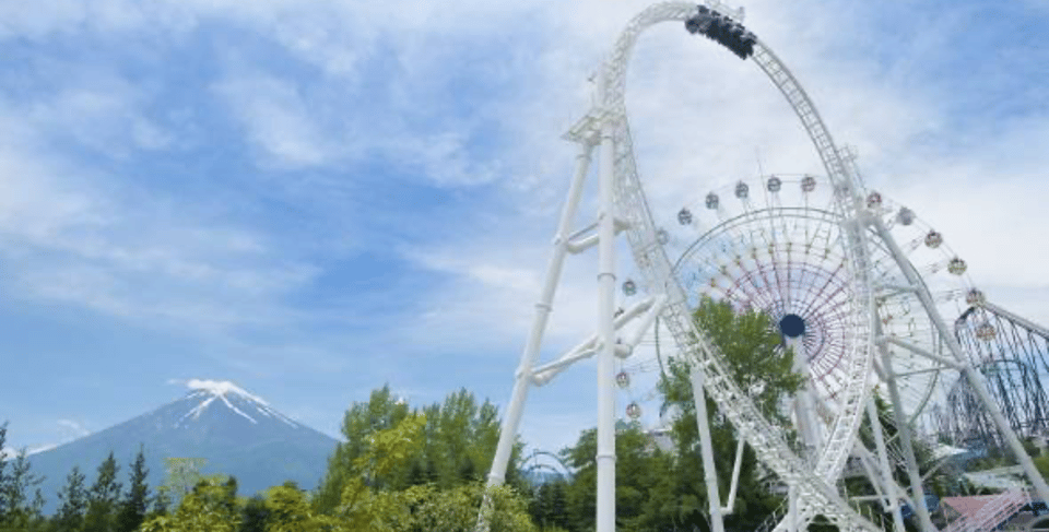 Fuji-Q Highland Amusement Park: 1 Day Private Tour by Car - Pricing and Reservation Details