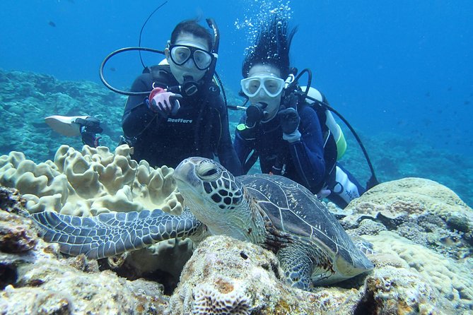 Full Day "Experience Diving" Trip at Kerama Islands - Inclusions and Logistics Information