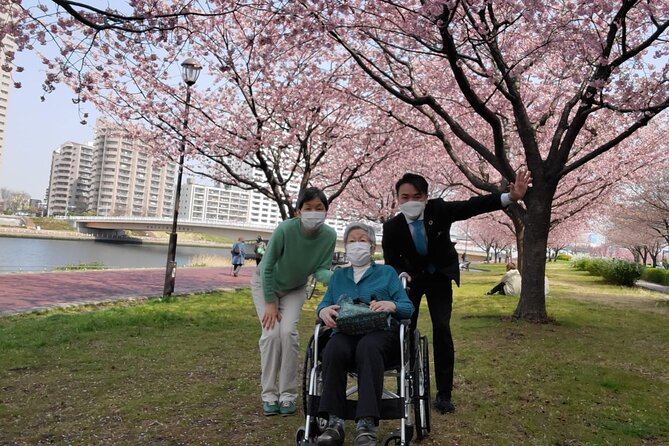 Full Day Private Tokyo Tour for Wheelchair Users - Accessibility Features