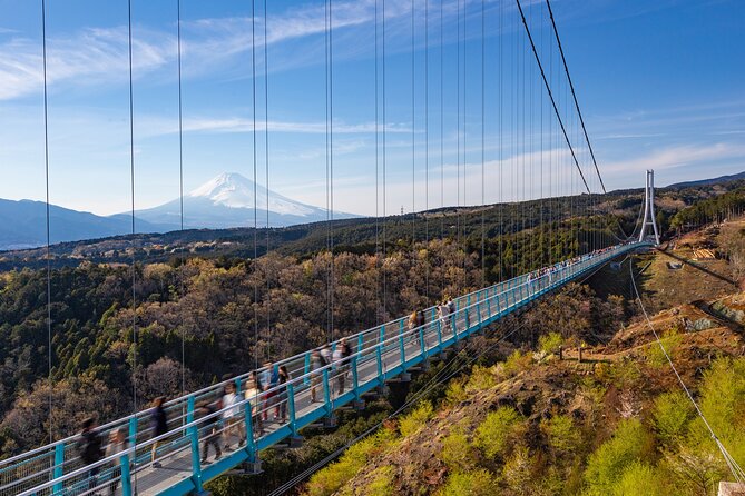 Full Day Private Tour in Hakone - Booking Process and Pick-up