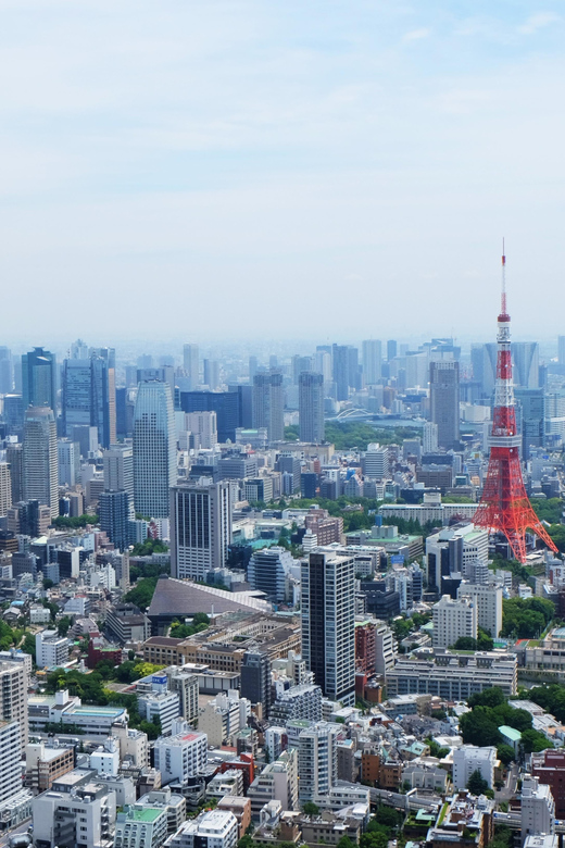 Full-Day Private Tour to Discover The Best of Tokyo - Included Locations and Highlights