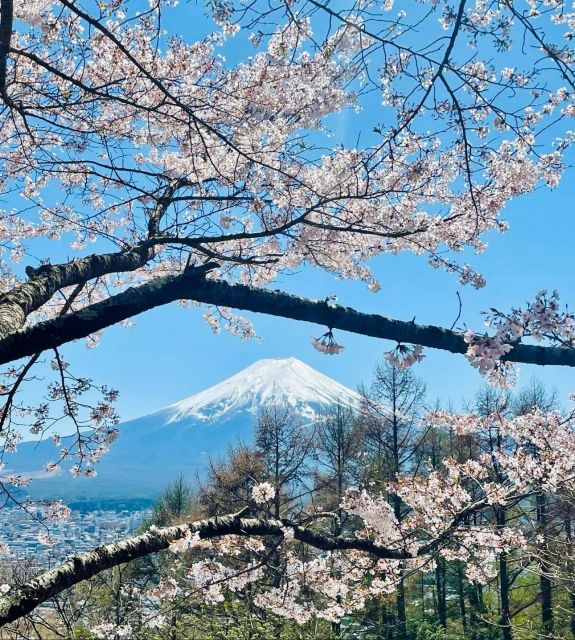 Full Guided One Day Trip for Mount Fuji Japan - Customer Reviews