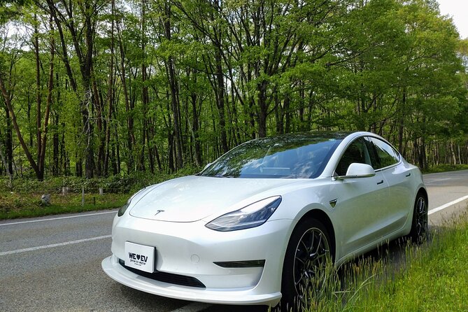 Go Anywhere With a Tesla Rental Car (Free Plan) - Accessibility Information