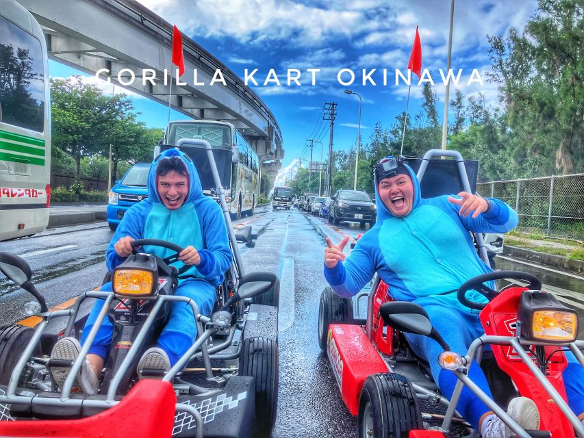 Go-Kart Tour on Public Roads Visiting Many Landmarks - Pricing and Duration