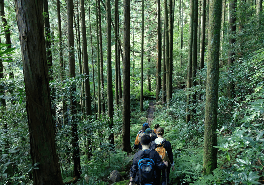 Hakone Hachiri: Old Tokaido Highway Hiking Tour - Important Information