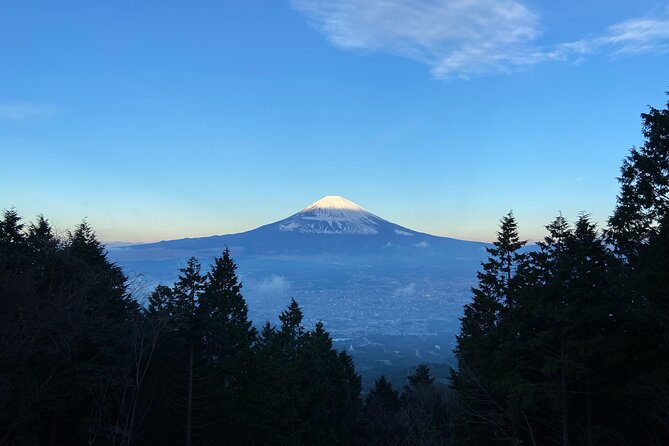 Hakone Old Tokaido Road and Volcano Full-Day Hiking Tour - Inclusions