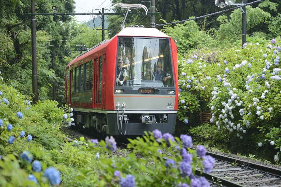 Hakone: Train Pass With Unlimited Rides & Activity Discounts - Activity Highlights