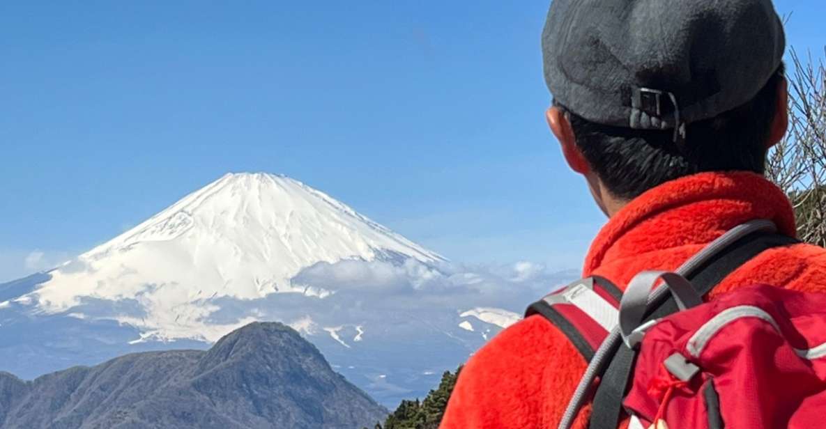 Hakone: Traverse the Hakone Caldera and Enjoy Onsen - Experience Highlights