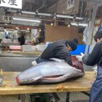 Half Day Local Tokyo Tour in Adachi Market and Shibamata Adachi Fish Market