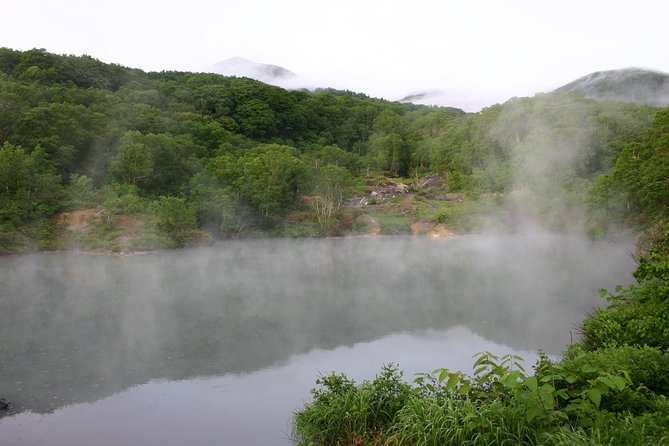 Half-Day Private Guided Japanese Hot Spring Experience - Meeting and Pickup Details