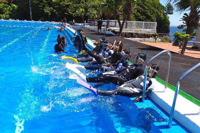 Half-Day Snorkeling CourseRelieved at the BeginningEven in the Sea of Izu, Veteran Instructors Will Guide and Assist You Throughout the Snorkeling Experience - Pricing Information