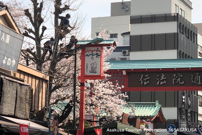 Half-Day Tokyo Morning Tour - Group Size Details