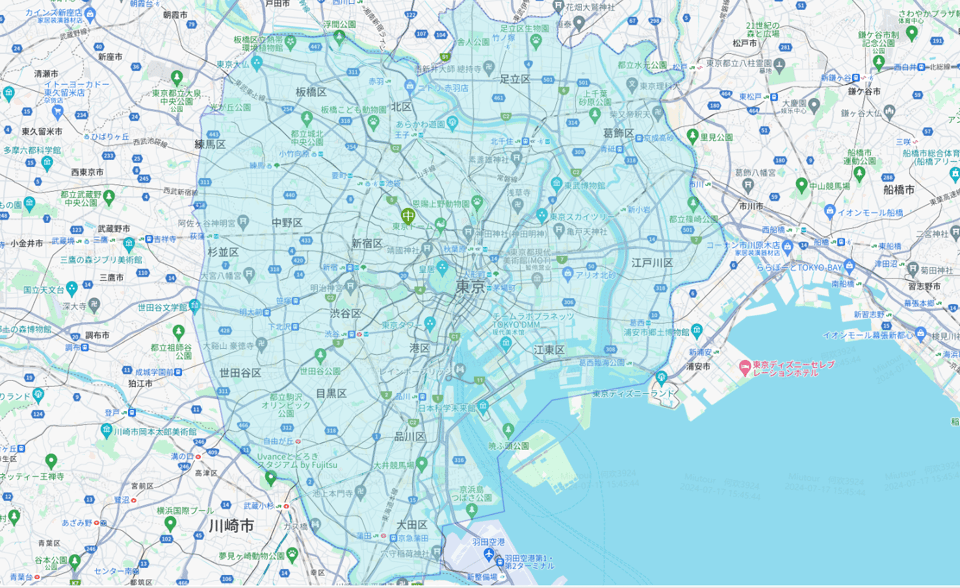 Haneda Airport (Hnd): Private One-Way Transfer To/From Tokyo - Travel Experience