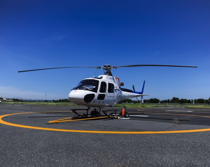 Helicopter Shuttle Service Between Narita and Tokyo - About the Activity