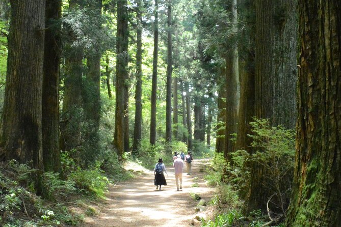 Hike Hakone Hachiri - Cultural Highlights Along the Route