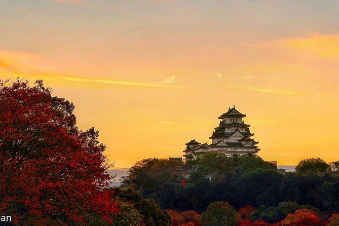 Himeji Half-Day Private Tour With Government-Licensed Guide - Customizable Itinerary Highlights