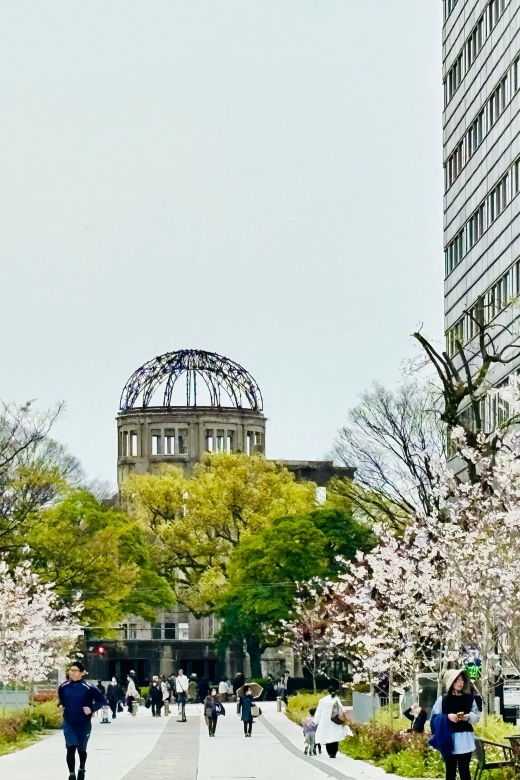 Hiroshima: History of Hiroshima Private Walking Tour - Customer Reviews