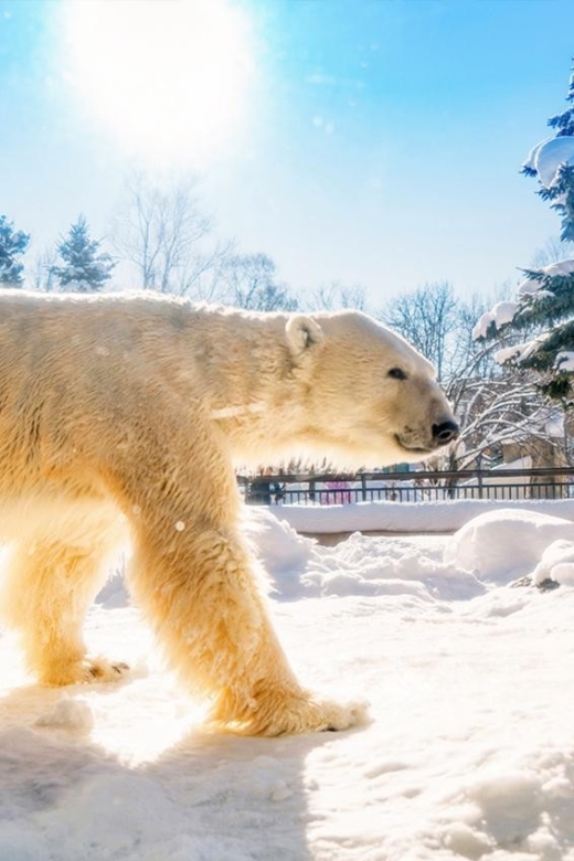 Hokkaido:Asahiyama Zoo, Shirahige Falls & Biei Pond Day Tour - Itinerary