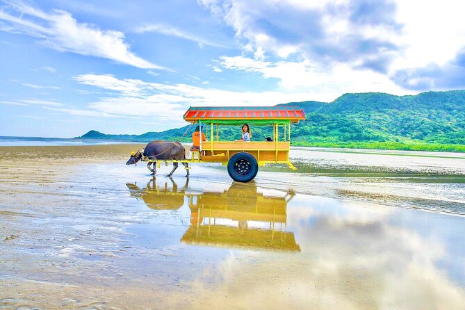 Iriomote: Canoe Tour and Sightseeing in Yubujima Island - Canoe Tour and Trekking