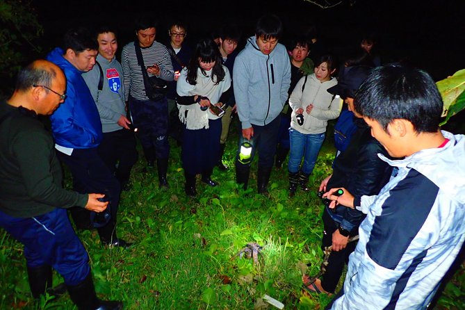 Iriomote, Okinawa Night Adventure Tour - Participant Eligibility and Weather Conditions