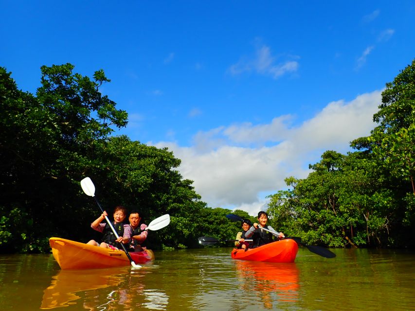 Ishigaki Island: 2-Hour Miyara River Kayaking Tour - Pickup Details and Group Size