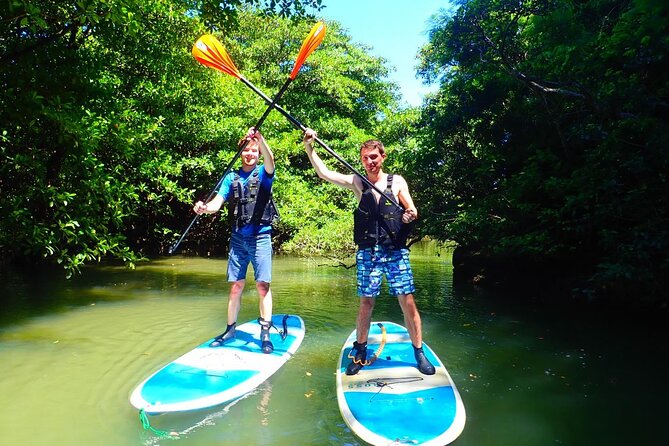 Ishigaki Mangrove SUP/Canoe Blue Cave Snorkeling - Cancellation Policy Information