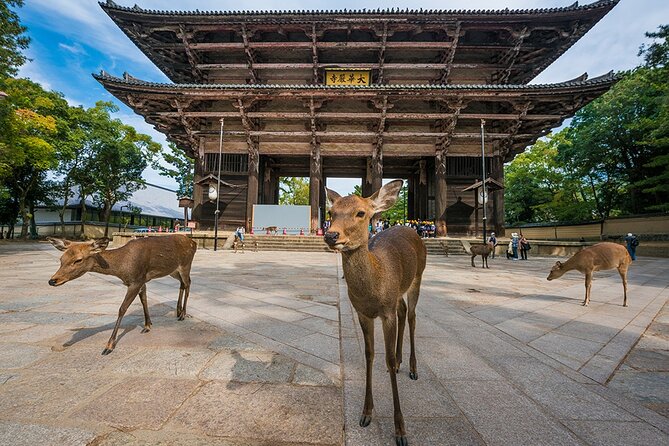 Japan: 9 Days Japan Golden Tour - Meals Included