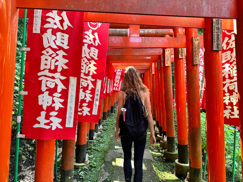 Kamakura: Cycle Through Centuries - Language and Group Size