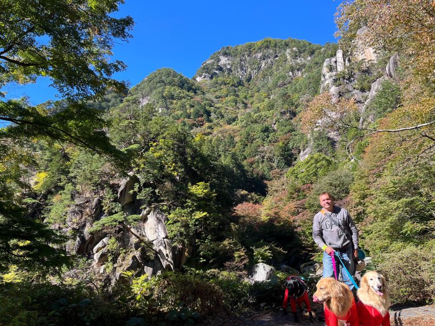 Kamakura Half Day Tour With a Local - Itinerary