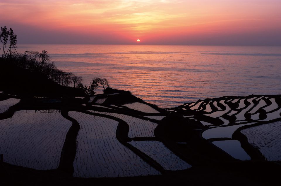 Kanazawa: Noto Peninsula Private Day-Tour - Language and Inclusions