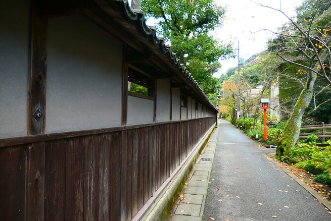 Kinosaki: Rental Electric Scooter - Hidden Alleyways Route - 90 Min - Accessibility and Medical Considerations