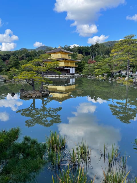 Kyoto: 10 Highlights in 1 Day Walking Tour With Matcha Tea - Fushimi Inari-Taisha Shrine Exploration