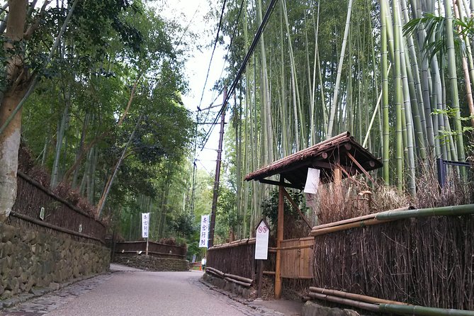 Kyoto and Nara Fully Satisfying Two-Day Tour - Customer Reviews