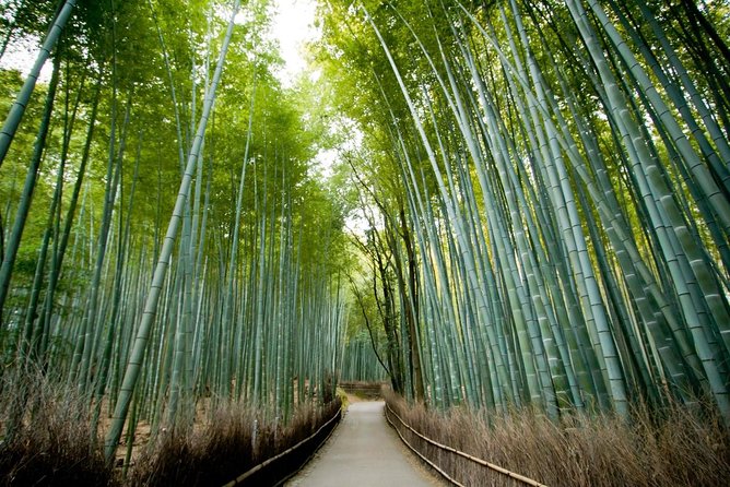 Kyoto Arashiyama Rickshaw Tour With Bamboo Forest - Tour Highlights and Itinerary