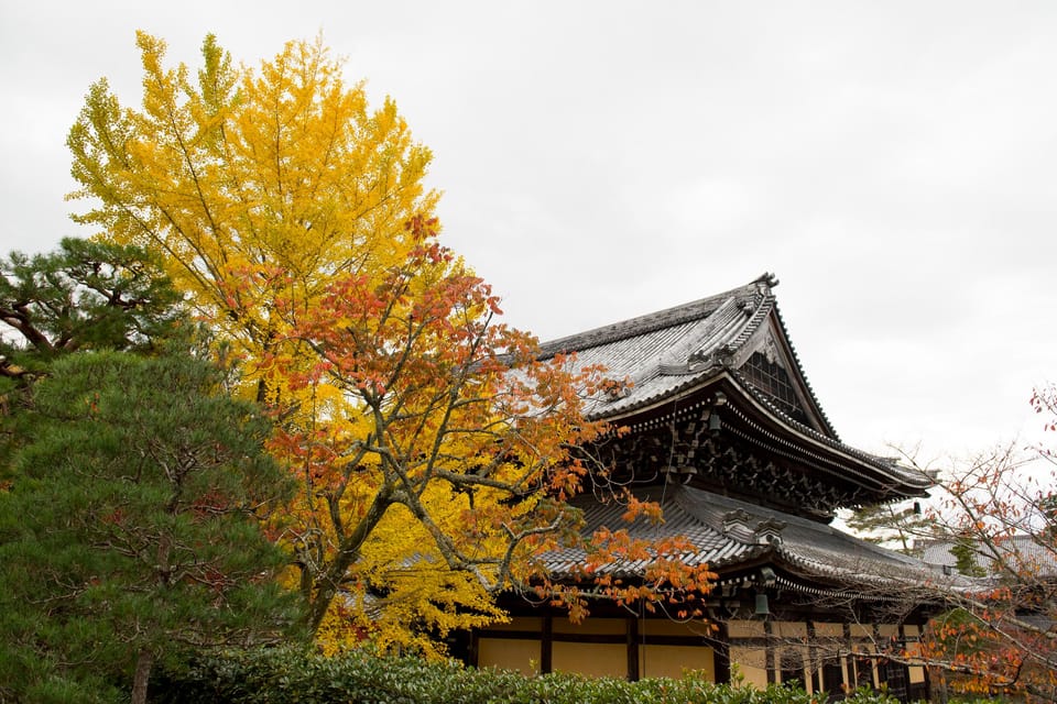 Kyoto: Bicycle Adventure Tour - Itinerary