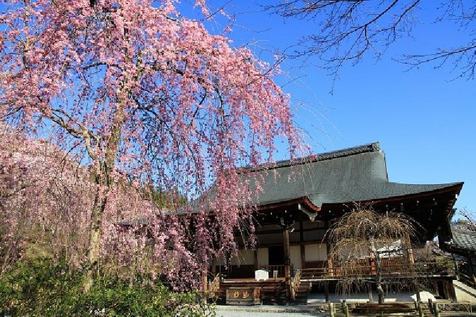 Kyoto Sagano Bamboo Grove & Arashiyama Walking Tour - Booking and Cancellation