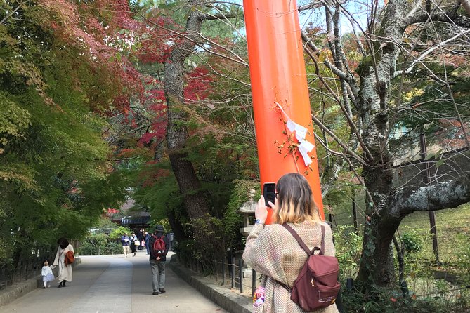 Kyoto Tea Town for Matcha Lovers - Stroll Through Uji Tea Fields