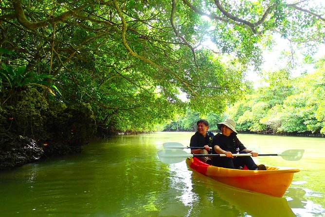 Miyara River 90-Minute Small-Group SUP or Canoe Tour 2024 - Ishigaki - End Point Information