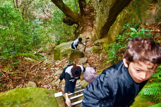 Miyazaki Hiking Tour 2024 - Kyushu - What to Expect