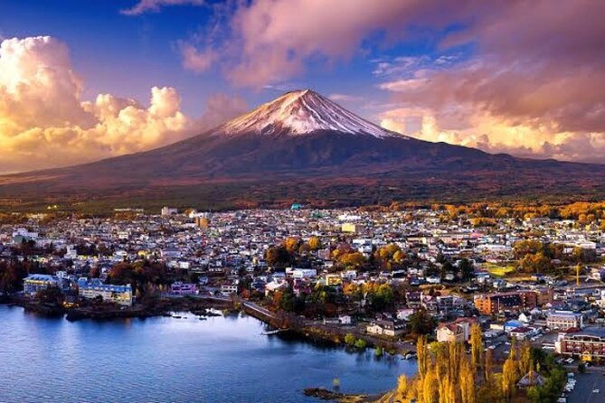 Mount Fuji and Hakone Private Tour With English Speaking Driver - Similar Tours in Tokyo