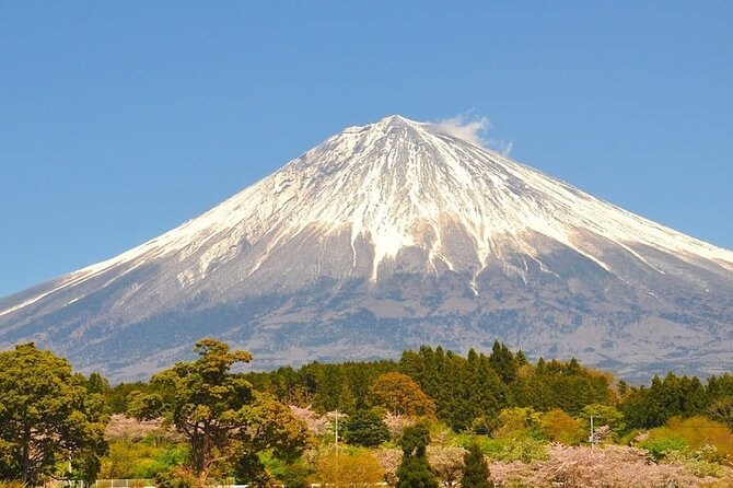 Mount Fuji Private Custom Tour From Tokyo - Cancellation Policy and Refund Conditions