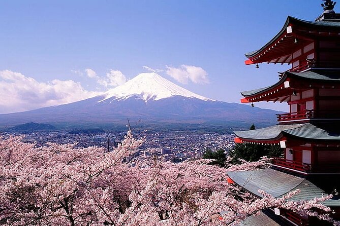 Mount Fuji Private Day Tour With English Speaking Driver - Pricing Details